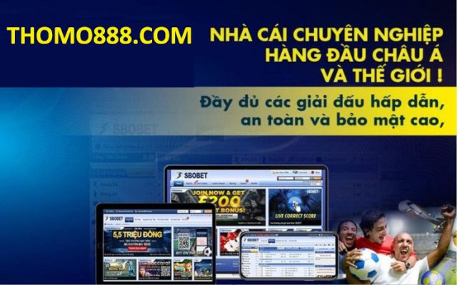 Vì sao nên chọn Thomo888 để đặt cược thể thao ? thomo88