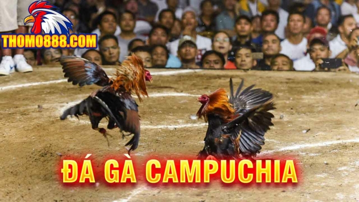 da ga campuchia