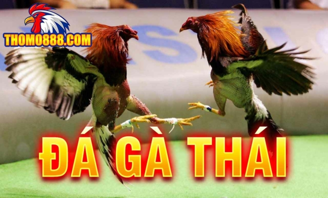 da ga thai