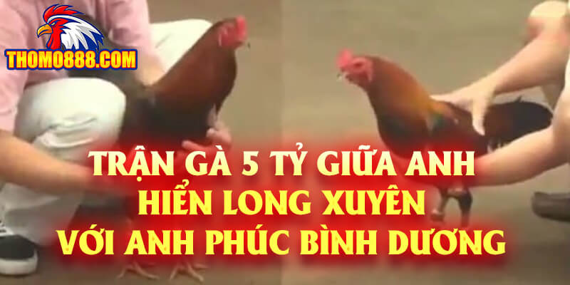 Trận Gà 5 Tỷ Giữa Anh Hiển Long Xuyên Với Anh Phúc Bình Dương