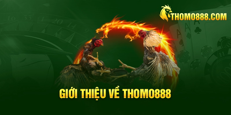 gioi thieu ve thomo888