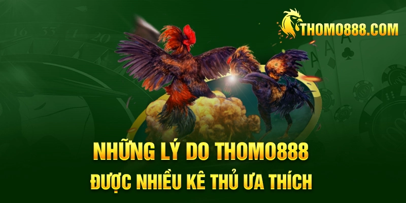 nhung ly do thomo888