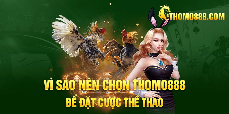 vi sao nen chon thomo888 de dat cuoc the thao