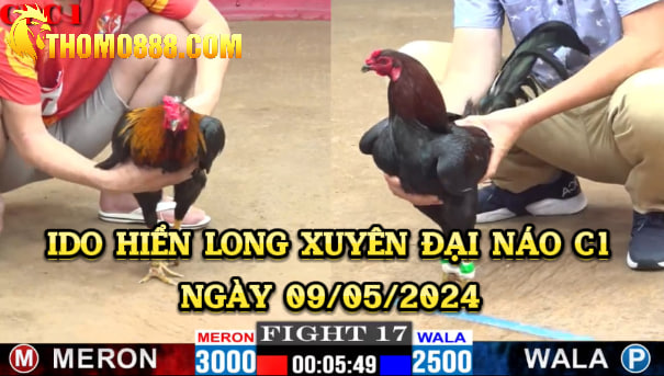 Hiển Long Xuyên đại náo C1