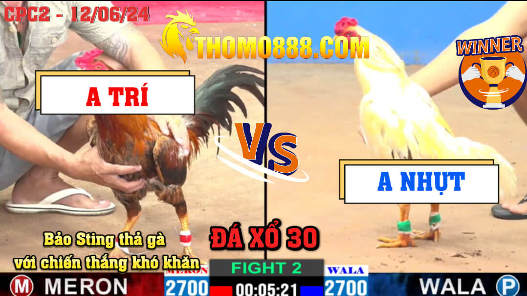 Trận 2 CPC2 Ngày 12/06/2024 - Bảo Sting Thả Gà Với Chiến Thắng Khó Khăn Trận 2 CPC2 Ngày 12/06/2024