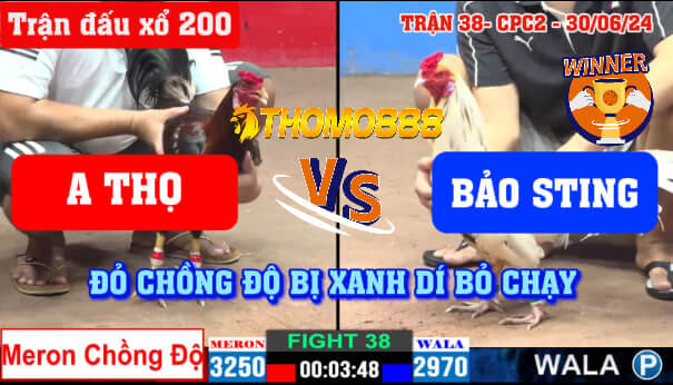 Trận 38 CPC2 Ngày 30/06/2024