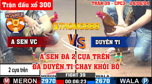 Trận 39 CPC3 Ngày 24/06/2024