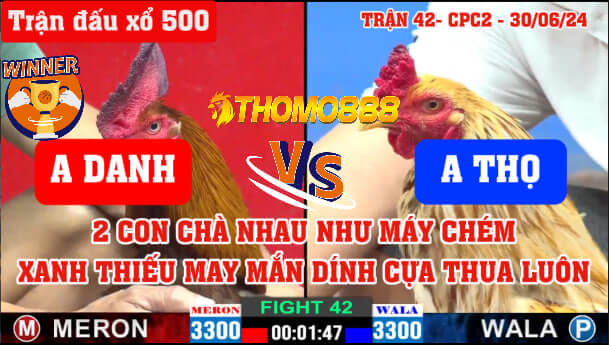 Trận 42 CPC2 Ngày 30/06/2024