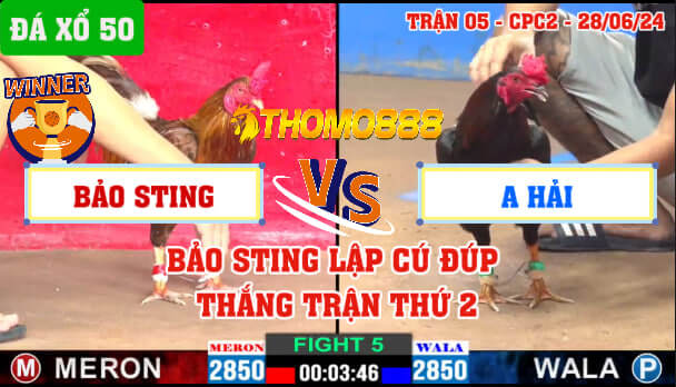 Trận 5 CPC2 Ngày 28/06/2024