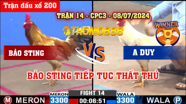 Trận 14 CPC3 Ngày 08/07/2024