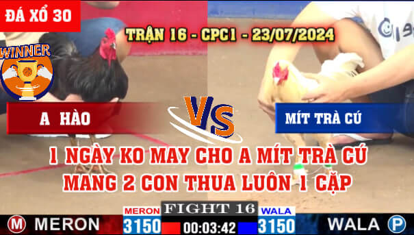 Trận 16 CPC1 Ngày 23/07/2024