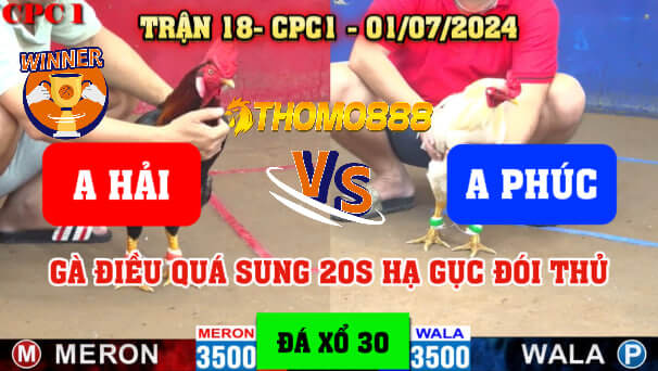 Trận 18 CPC1 Ngày 01/07/2024