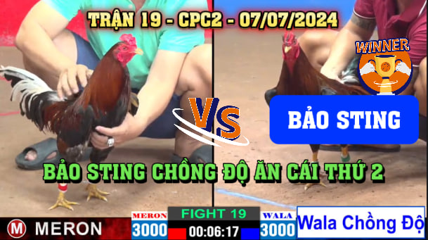 Trận 19 CPC2 Ngày 07/0/2024