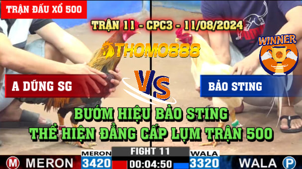 Trận 11 CPC3 Ngày 11/08/2024