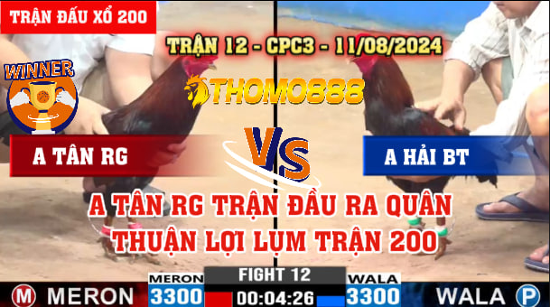 Trận 12 CPC3 Ngày 11/08/2024