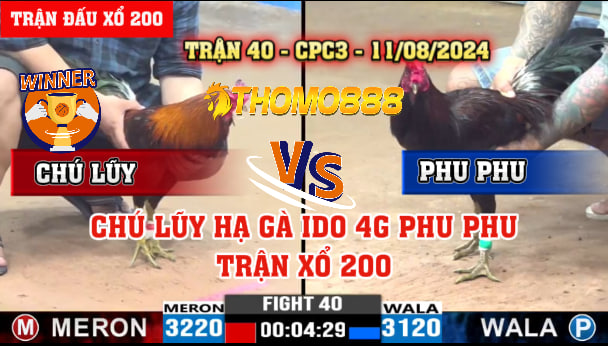 Trận 40 CPC3 Ngày 11/08/2024