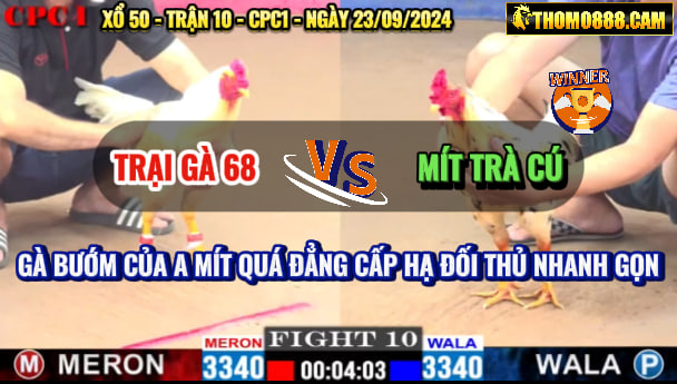 Trận 10 CPC1 ngày 23/09/2024