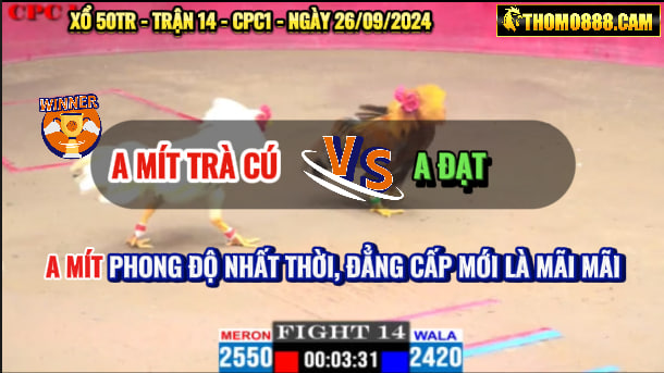 Trận 14 CPC1 Ngày 26/09/2024