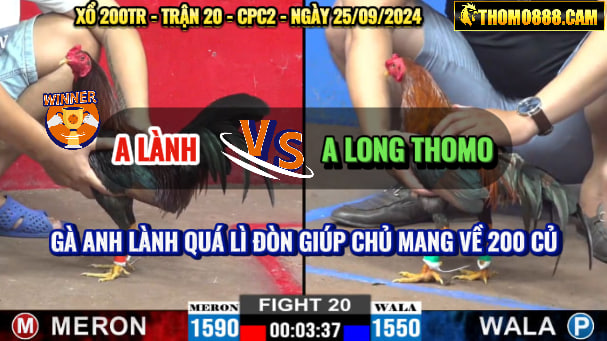 Trận 20 CPC2 Ngày 25/09/2024