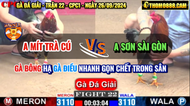 Trận 22 CPC1 Ngày 26/09/2024