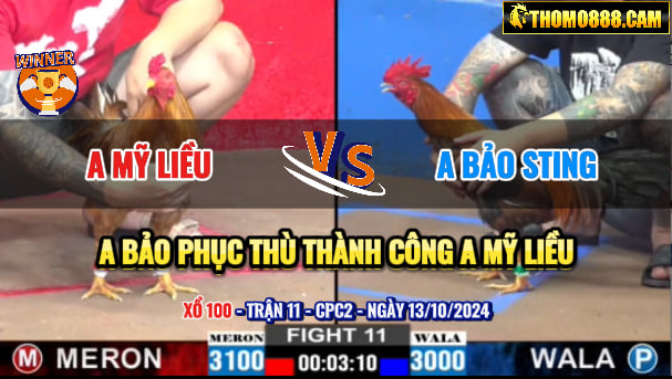 Trận 11 CPC2 13/10/2024