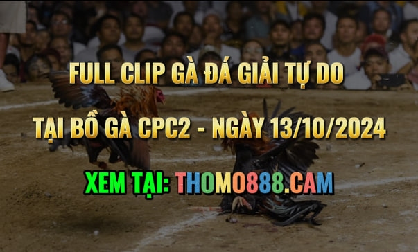 Gà Đá Giải CPC2 Ngày 13/10/2024