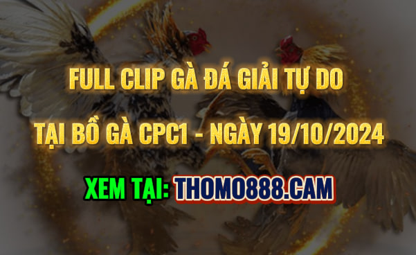 Gà Đá Giải CPC1 Ngày 19/10/2024