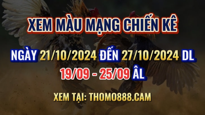 Màu Mạng Chiến Kê Ngày 21/10 Đến 27/10/2024