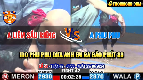 Trận 42 CPC3 Ngày 25/10/2024