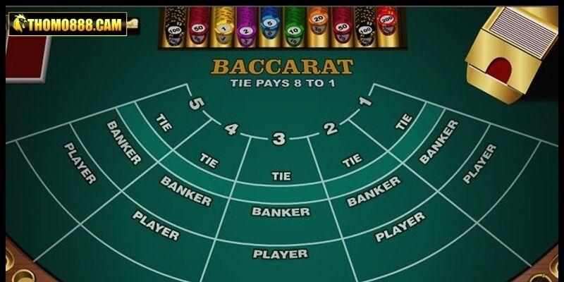 Casino Thomo888 - Thế Giới Cá Cược Cho Những Tín Đồ word image 6340 3