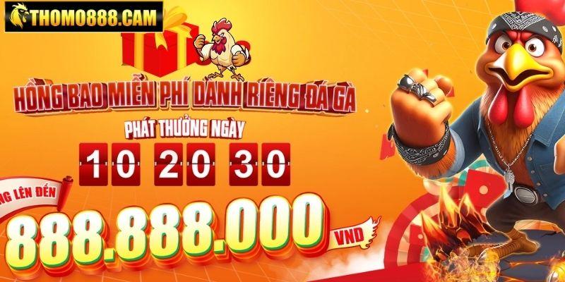 Tổng Hợp Những Chương Trình Khuyến Mãi Thomo888 Hot Nhất word image 6390 3