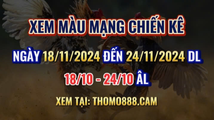 Màu Mạng Chiến Kê Ngày 18/11 Đến 24/11/2024